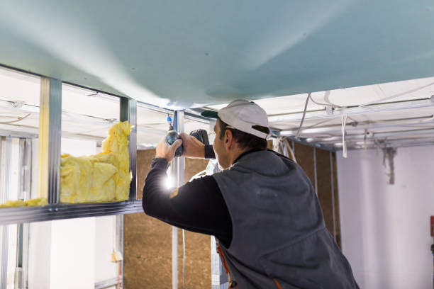 Best Professional Insulation Contractor  in Old Orchard, PA