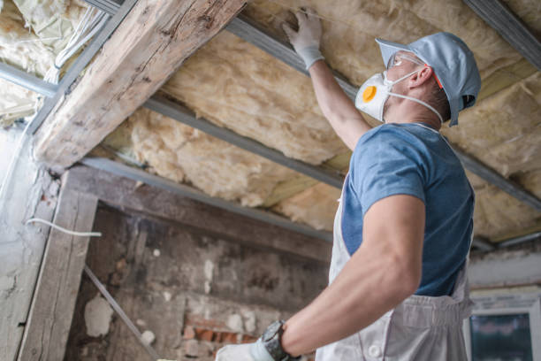 Best Insulation Removal Services  in Old Orchard, PA