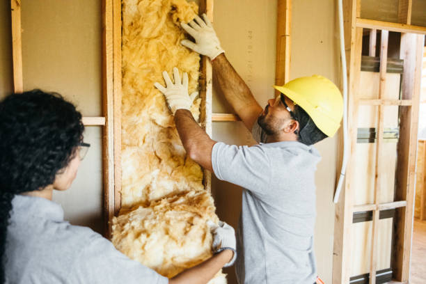 Best Insulation Replacement Services  in Old Orchard, PA